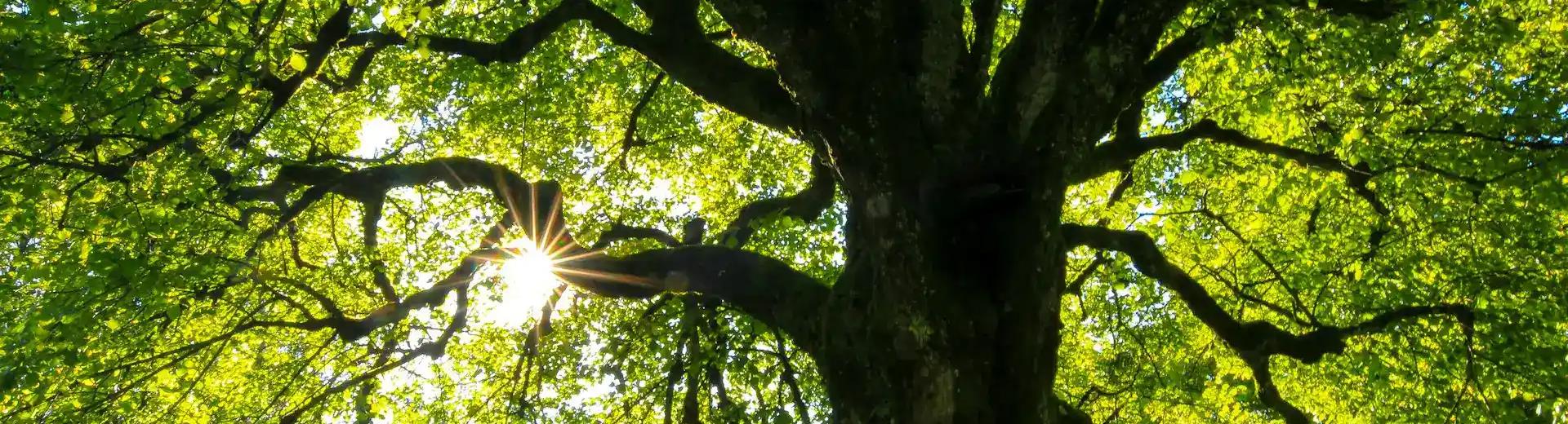 Scopri il territorio in bicicletta con il Titian Inn Hotel Treviso