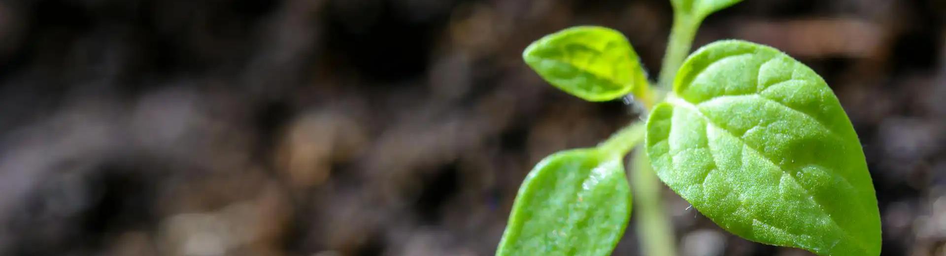 Titian Inn Hotel commitment to a sustainable hospitality